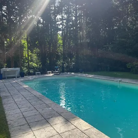 Chic Guethary: Soleil- Surf-amis Saint-Jean-de-Luz