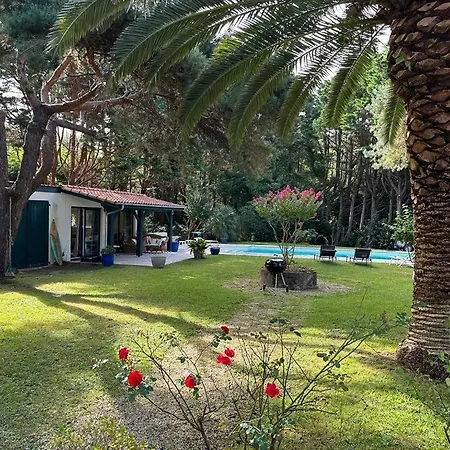 Chic Guethary: Soleil- Surf-amis Hotel Saint-Jean-de-Luz